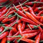 Shombo 1kg