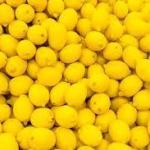 Foreign Lemon