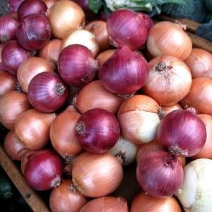 Onions  1kilo
