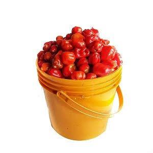 1kg of Red Pepper